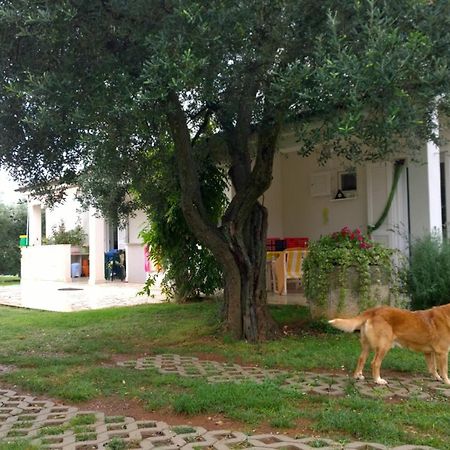 Apartment Free Parking Big Garden Peroj Bagian luar foto
