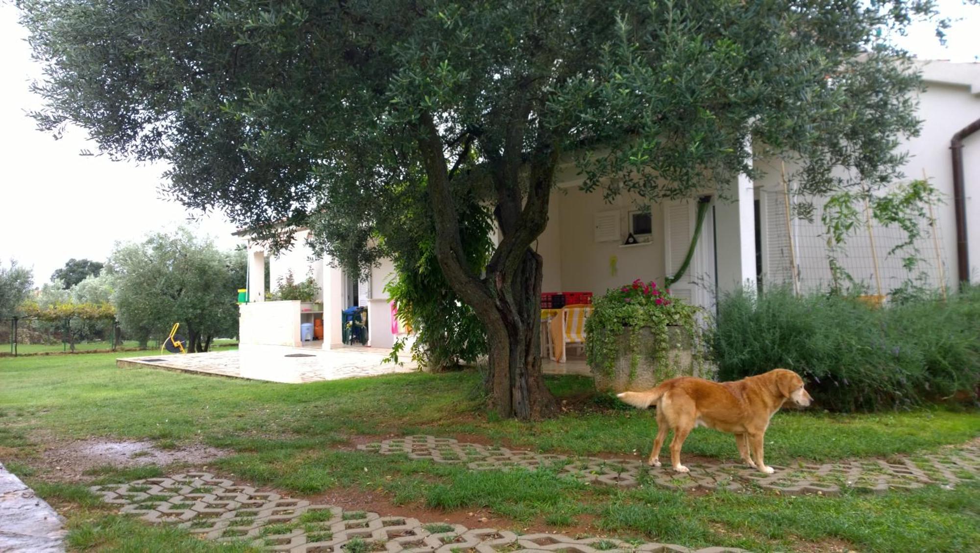 Apartment Free Parking Big Garden Peroj Bagian luar foto